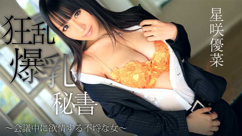 狂乱爆乳秘書～会議中に欲情する不埒な女～ - 星咲優菜